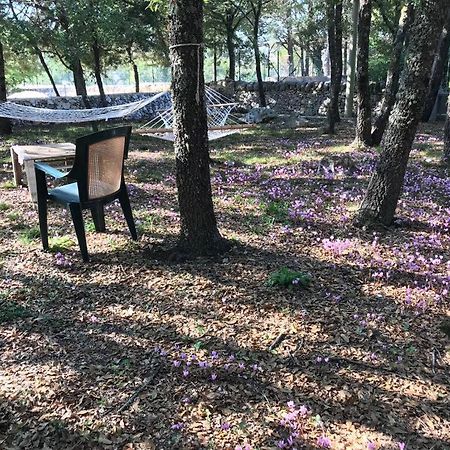Villa Venus Woods Martina Franca Eksteriør bilde
