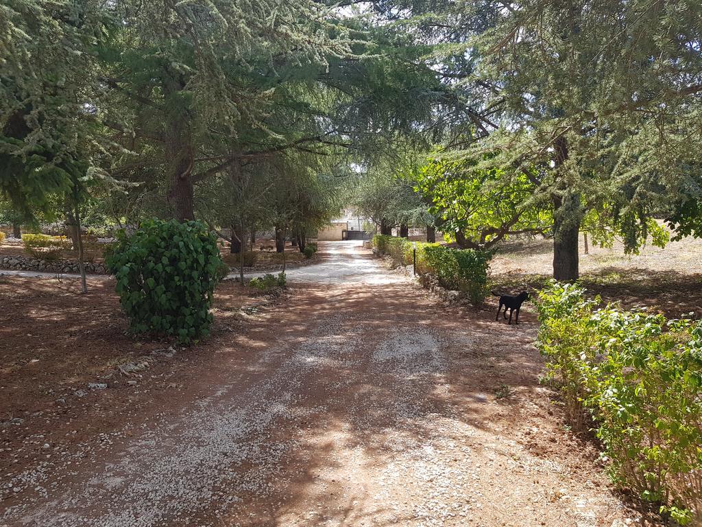 Villa Venus Woods Martina Franca Eksteriør bilde