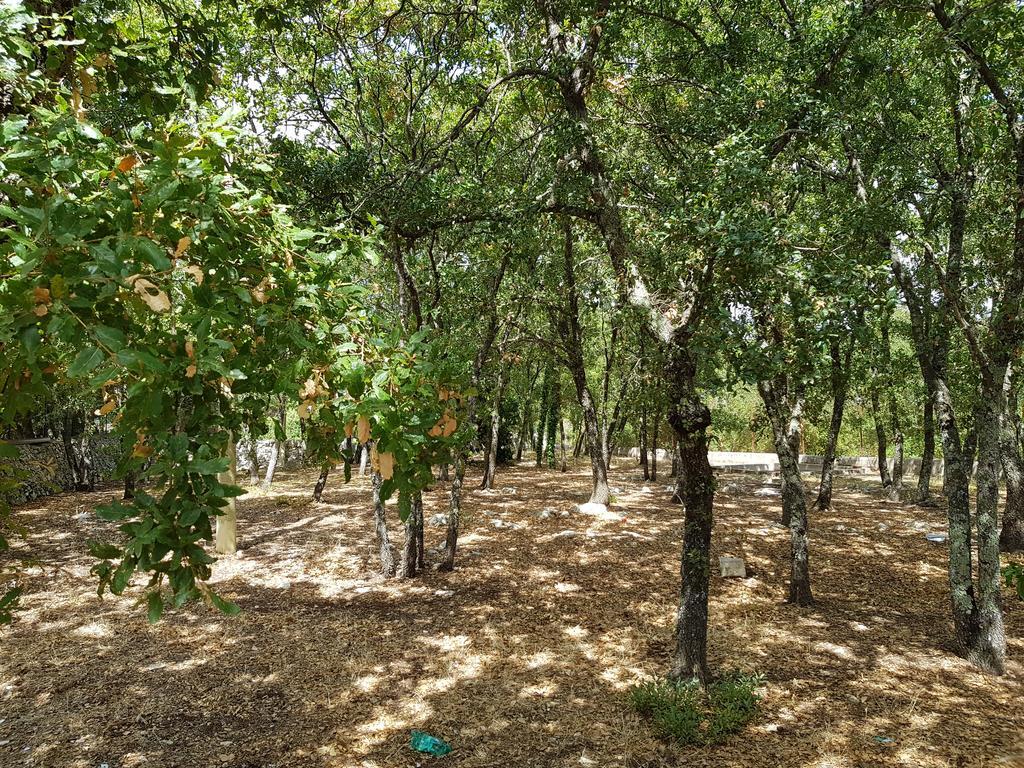 Villa Venus Woods Martina Franca Eksteriør bilde