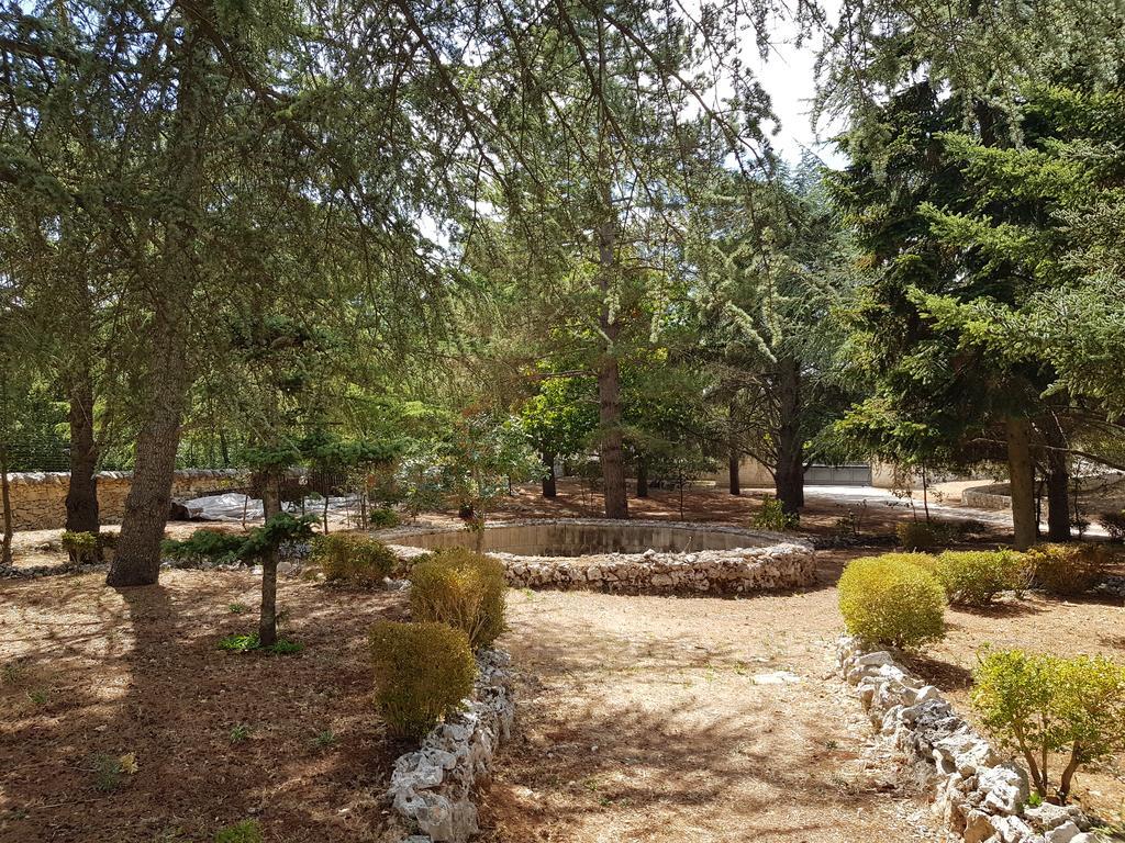 Villa Venus Woods Martina Franca Eksteriør bilde