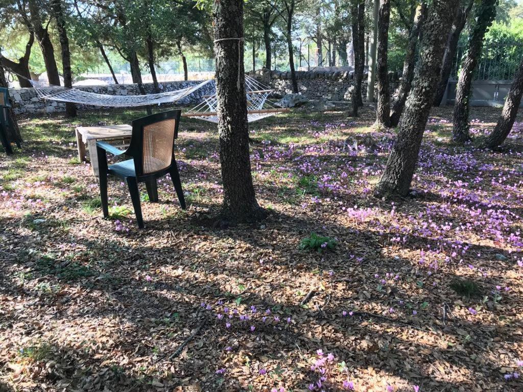 Villa Venus Woods Martina Franca Eksteriør bilde